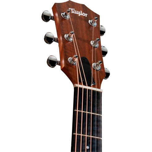 TAYLOR SUNSET BOULEVARD 24CE EDGEBURST