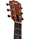 TAYLOR SUNSET BOULEVARD 24CE EDGEBURST