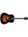 TAYLOR 117E SPECIAL EDITION