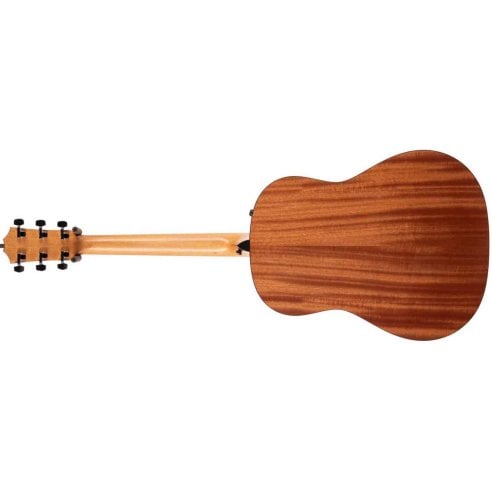 TAYLOR 117E SPECIAL EDITION