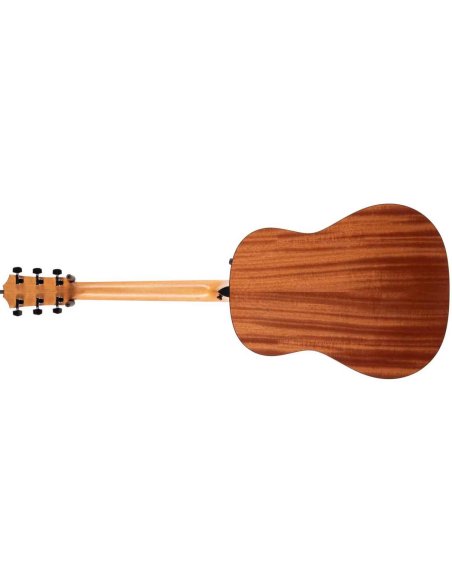 TAYLOR 117E SPECIAL EDITION