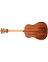 TAYLOR 117E SPECIAL EDITION