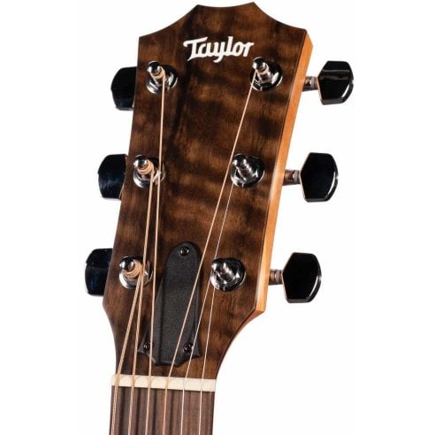 TAYLOR 117E SPECIAL EDITION