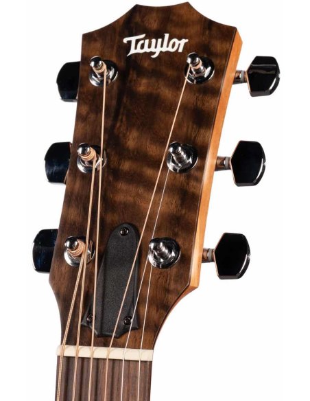 TAYLOR 117E SPECIAL EDITION