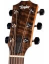 TAYLOR 117E SPECIAL EDITION