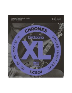 D'ADDARIO ECG24