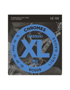 D'ADDARIO ECG25