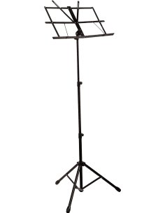 PROEL RSM600 LEGGIO PIEGHEVOLE CON BORSA
