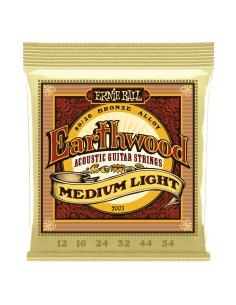 ERNIE BALL 2003 ML EWD 012-054