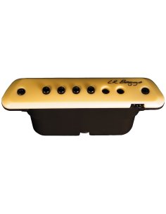 LR BAGGS M1A
