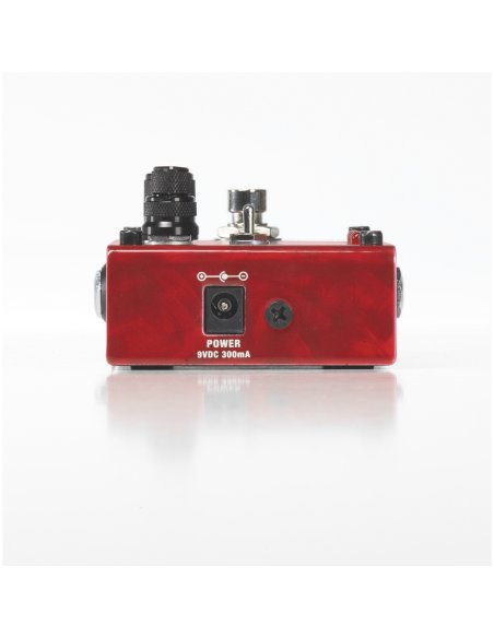 DIGITECH WHAMMY RICOCHET