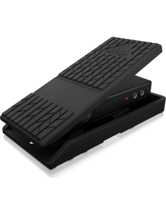 BEHRINGER FCV100 V2