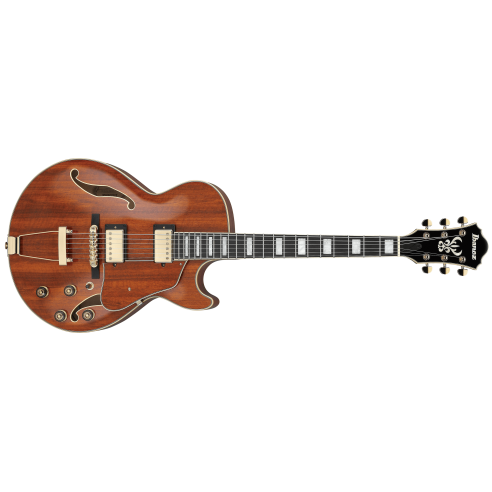IBANEZ AG95K-NT