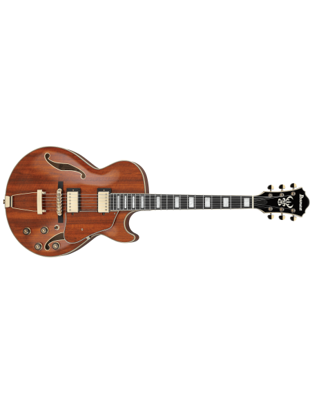 IBANEZ AG95K-NT