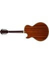 IBANEZ AG95K-NT