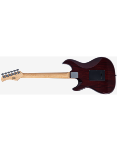 LARRY CARLTON S1 TS 2