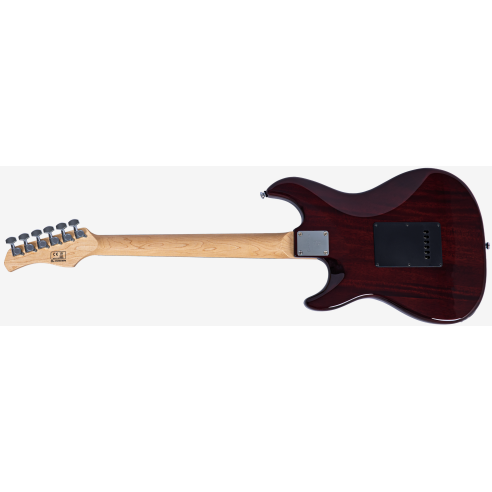LARRY CARLTON S1 TS