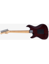 LARRY CARLTON S1 TS