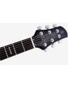 LARRY CARLTON Q7 HOLLOW TRANSPARENT BLACK