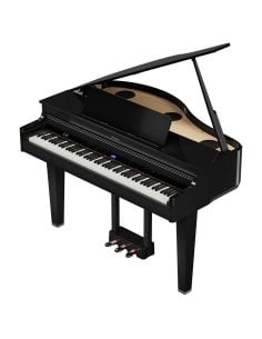 ROLAND GP-6 PE