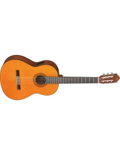 YAMAHA CGX102
