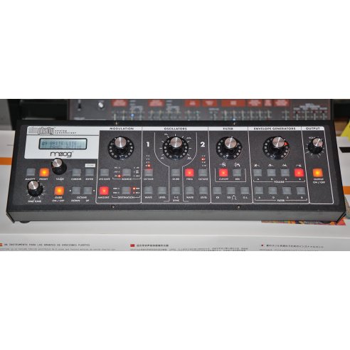 MOOG SLIM PHATTY