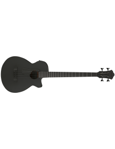 IBANEZ AEGB420-BOT