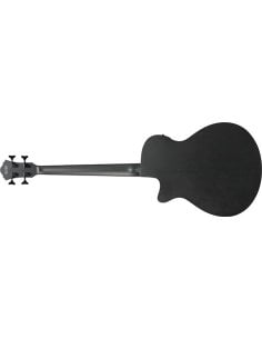 IBANEZ AEGB420-BOT 2