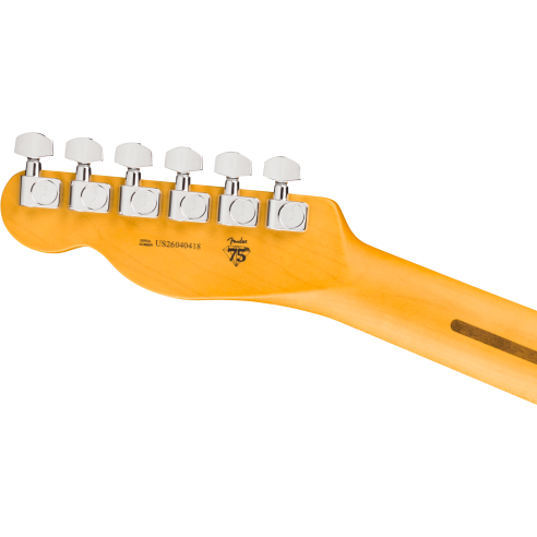 FENDER AM PROFESSIONAL TELE RW 3TSB X