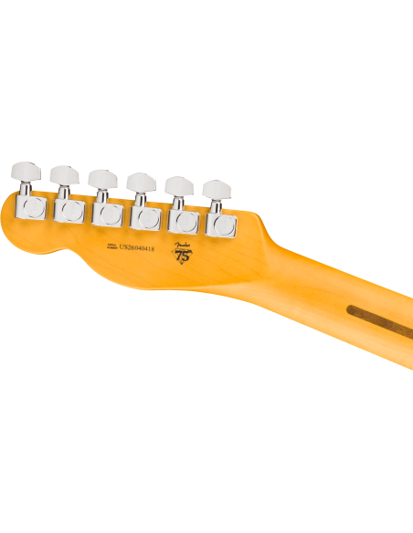 FENDER AM PROFESSIONAL TELE RW 3TSB X