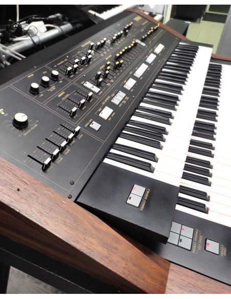 YAMAHA SK50D
