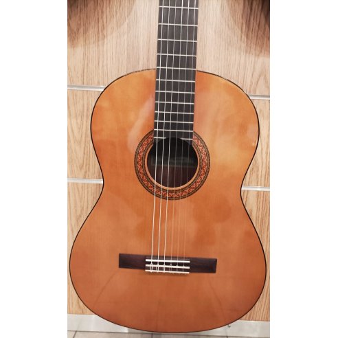 YAMAHA C40