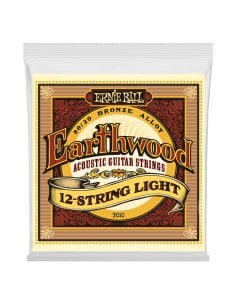 ERNIE BALL 2010 12C LIGHT