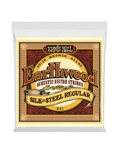ERNIE BALL 2043 80/20 BRONZE SILK AND ST