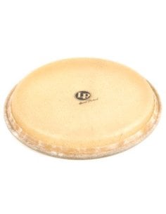 LP M265A PELLE QUINTO 11"