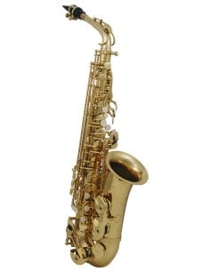 ROY BENSON AS-202 SAX ALTO