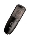 AKG P220