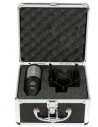 AKG P220