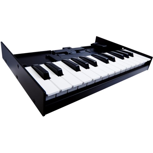 ROLAND K-25M