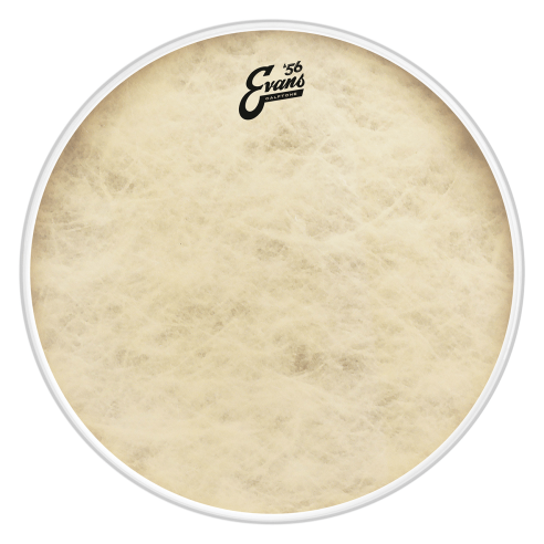 EVANS BD20CT CALFTONE BASS