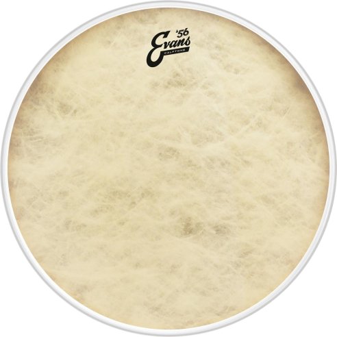 EVANS BD22CT CALFTONE BASS