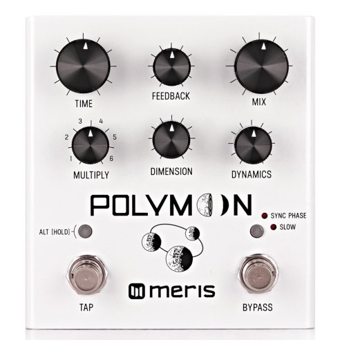 MERIS POLYMOON DELAY
