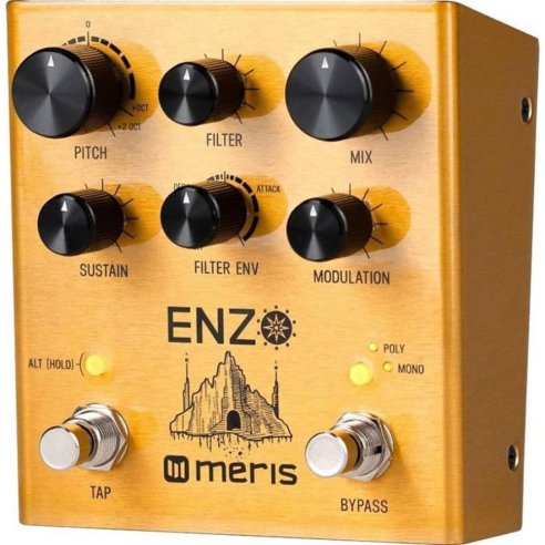 MERIS ENZO