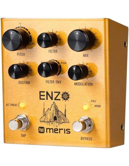 MERIS ENZO MERIS ENZO