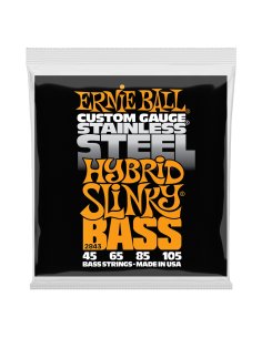 ERNIE BALL 2843