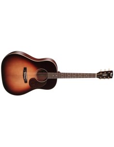 CORT EARTH 100 SSF SB