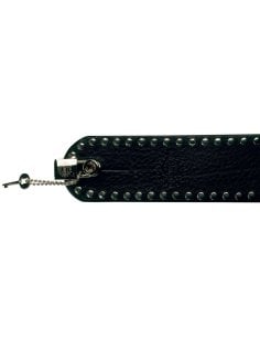DiMarzio DD2100N GuitarLock - nichel