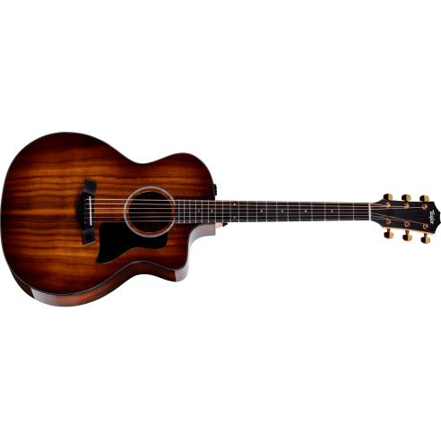 TAYLOR 224ce-K DLX