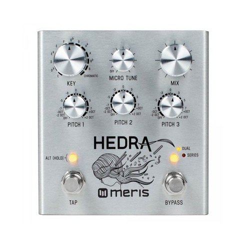 MERIS HEDRA
