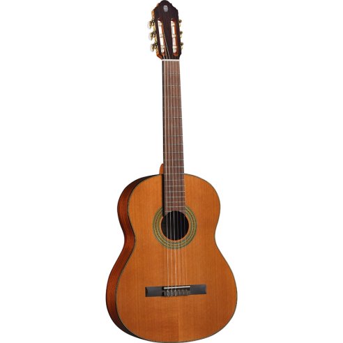 Eko Guitars Vibra 300 Natural